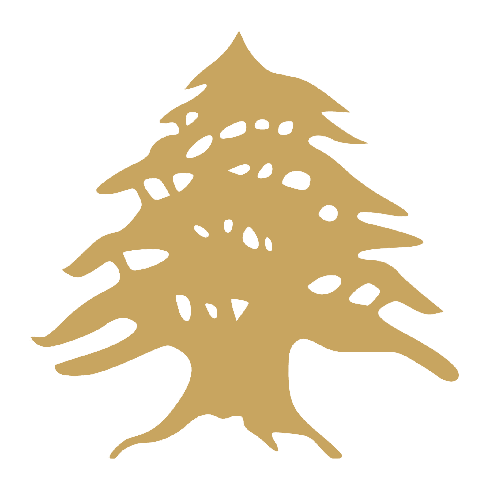 Goldene libanesische Zeder